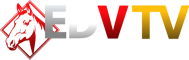 EDVtv logo